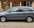Skoda Fabia 2010 фото