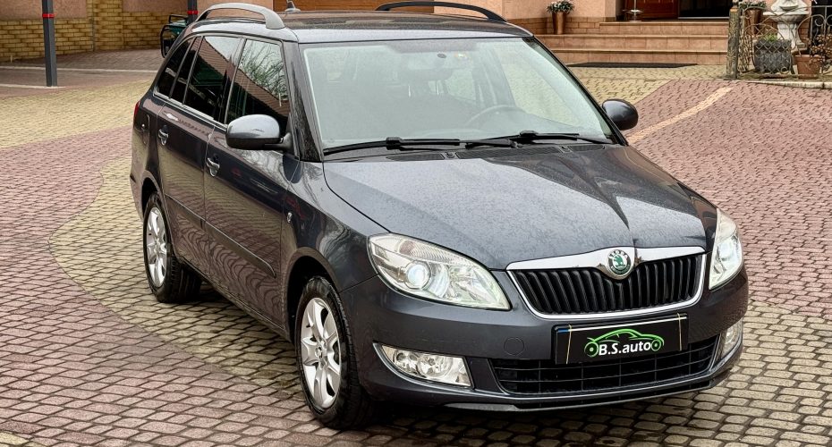 Skoda Fabia 2010 продається за 7 450$