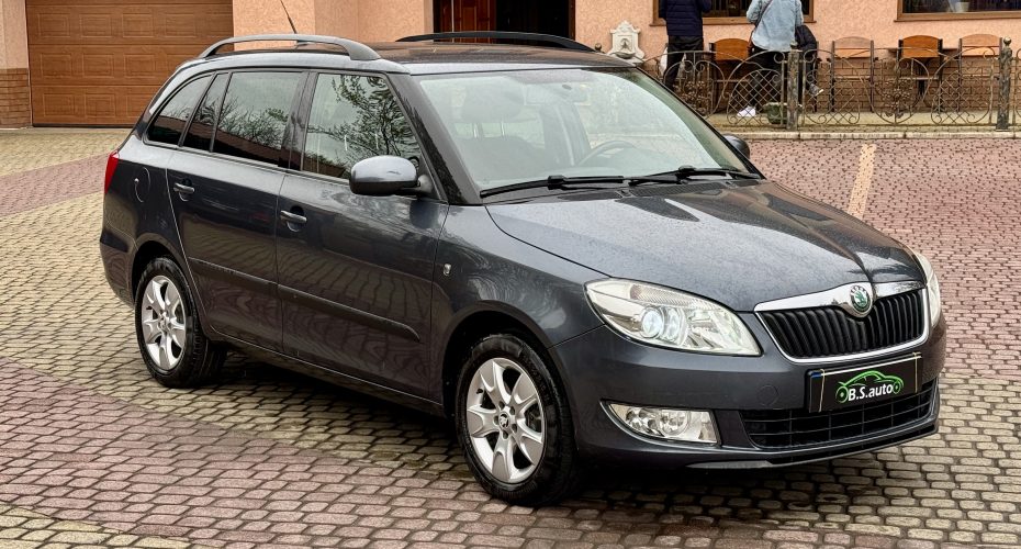 Skoda Fabia 2010 продається за 7 450$