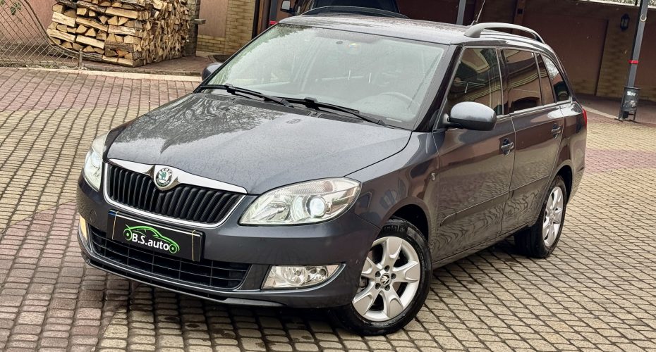 Skoda Fabia 2010 продається за 7 450$