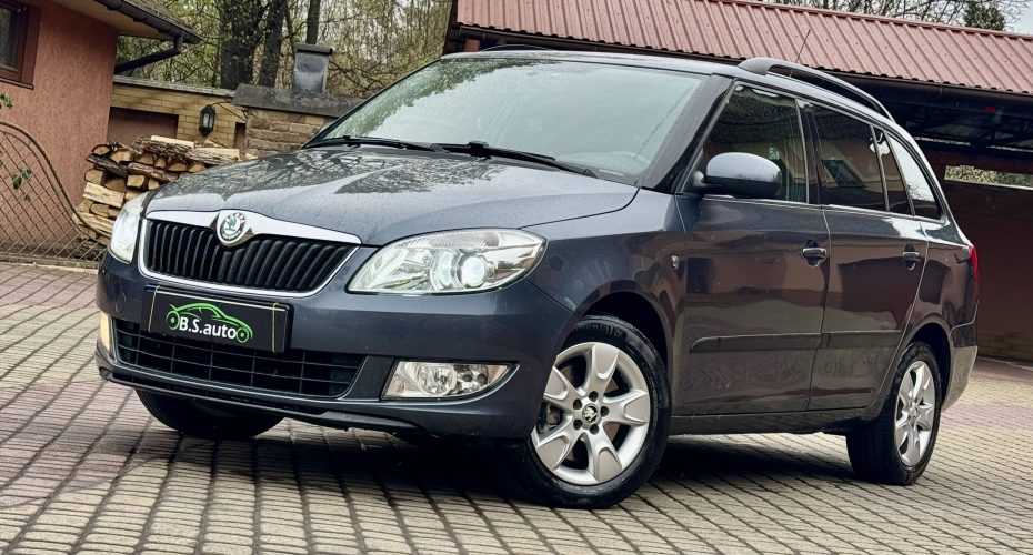 Skoda Fabia 2010 продається за 7 450$
