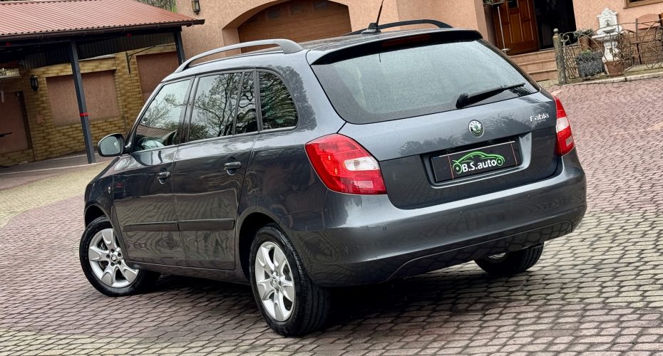 Skoda Fabia 2010 продається за 7 450$