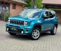 Jeep Renegade 2022 р фото